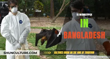 Monkeypox in Bangladesh: Current Status, Risks, and Prevention Measures