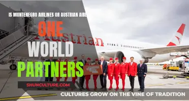 Montenegro and Austrian Airlines: One World Partnership?