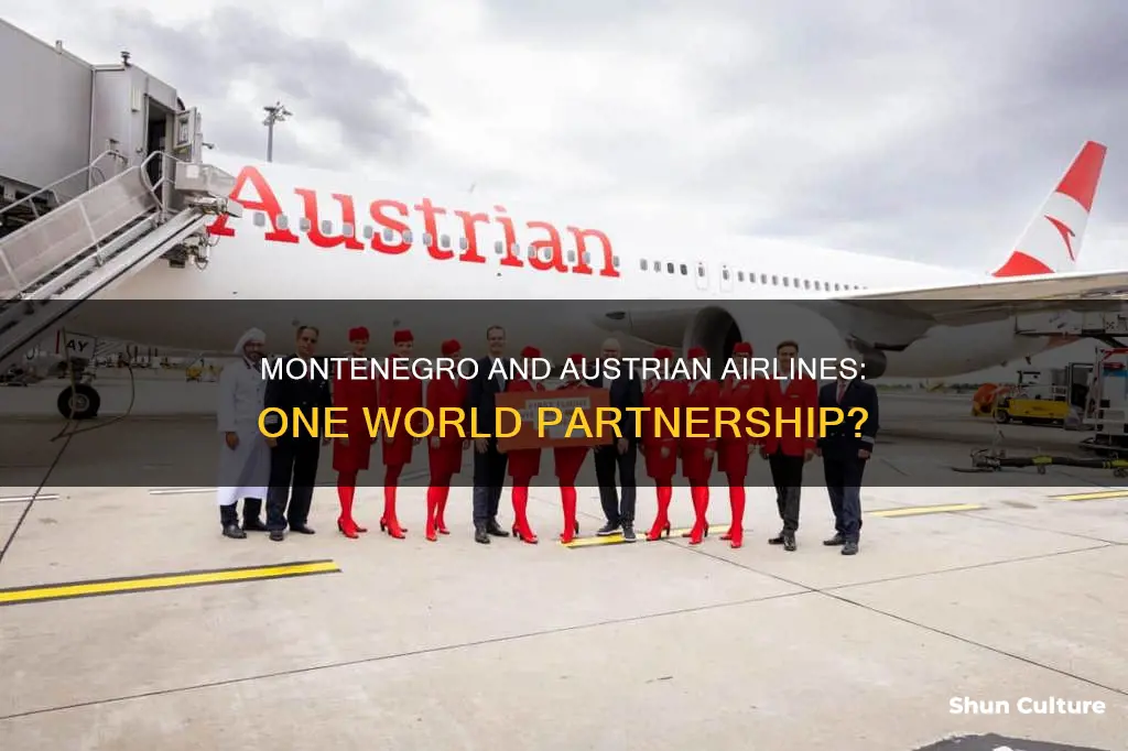 is montenegro airlines or austrian airline one world partners