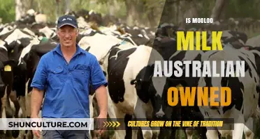 Who Owns Mooloo Milk? Exploring Australian Dairy Ownership