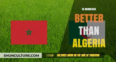 Morocco vs. Algeria: Which North African Country Excels More?