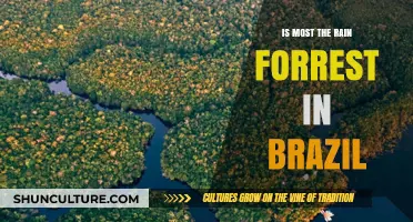 Are Most of the World's Rainforests Located in Brazil?