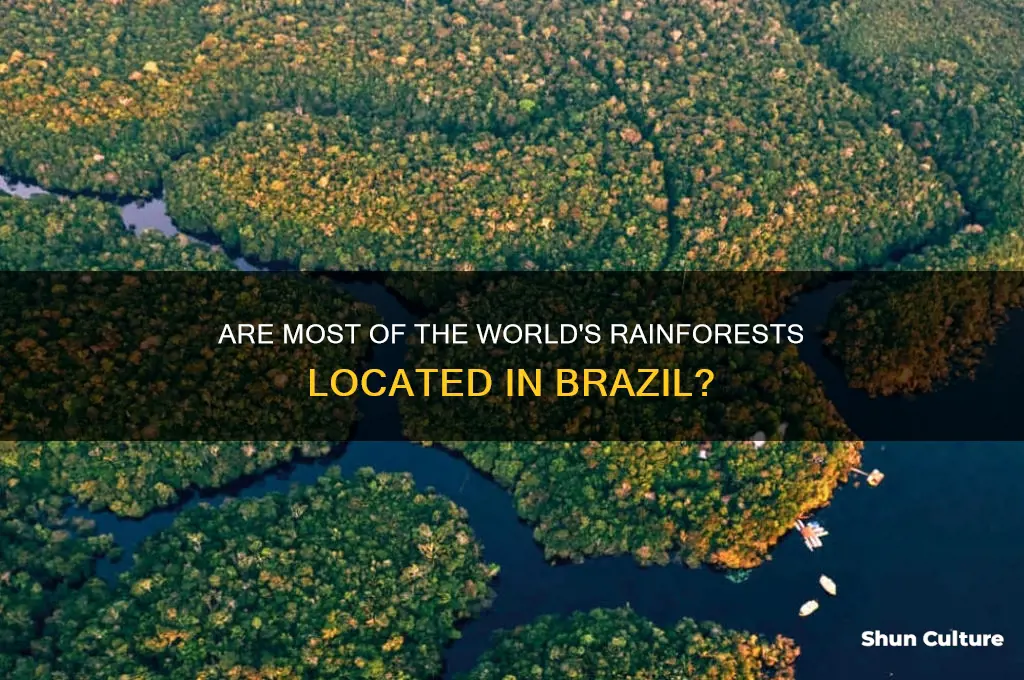 is most the rain forrest in brazil