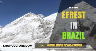 Is Mount Everest in Brazil? Unraveling the Geographical Myth