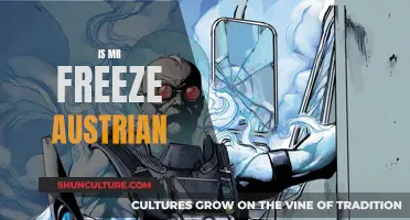 Mr Freeze's Austrian Origins: A Chilling Theory Explored