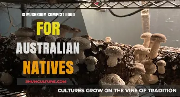 Mushroom Compost: Boon or Bane for Australian Natives?
