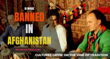 Music's Uncertain Future in Afghanistan: A Cultural Ban?