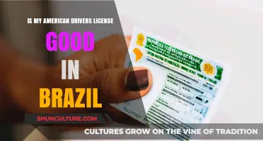 Can You Drive in Brazil with a US License?