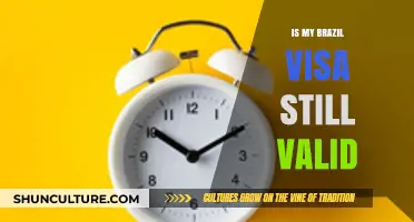 Is Your Brazil Visa Still Valid? Check Expiry and Renewal Tips