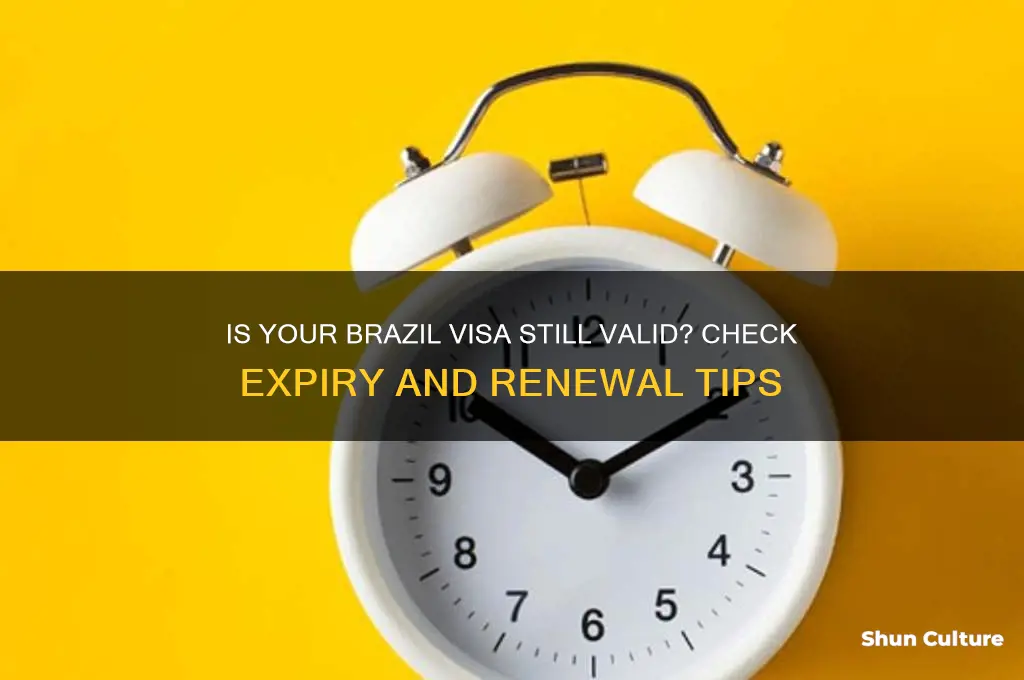 is my brazil visa still valid