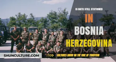 NATO's Presence in Bosnia and Herzegovina: Current Status and Role