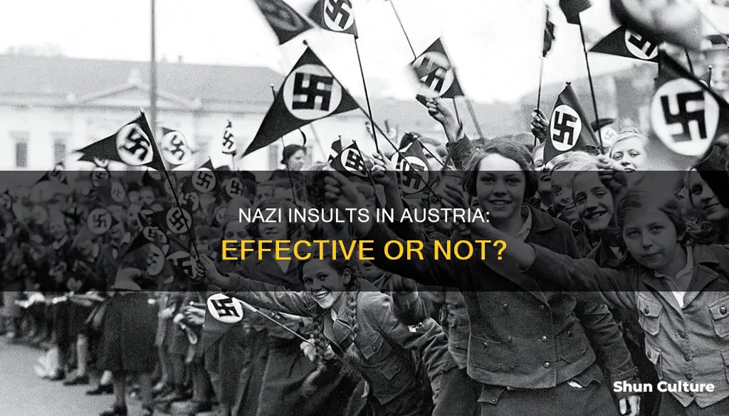 is nazi an effective insult in austria