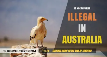 Necrophilia in Australia: What's the Law?