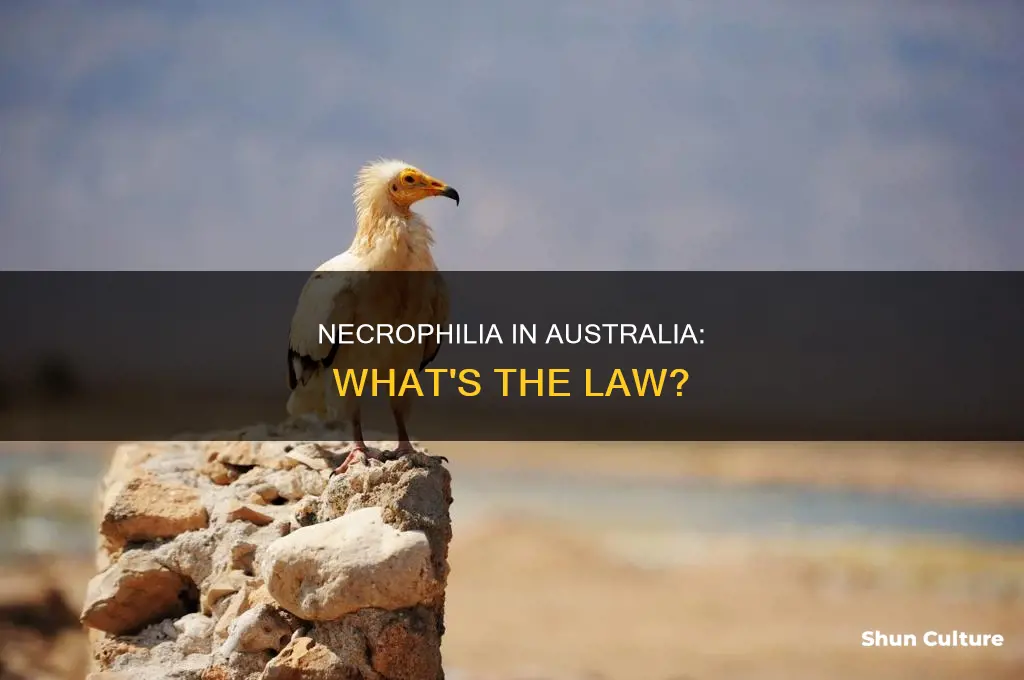 is necrophilia illegal in australia