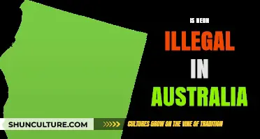 Neon Lights in Australia: Legal or Not?