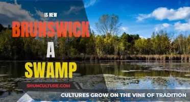 Swampy Secrets of New Brunswick