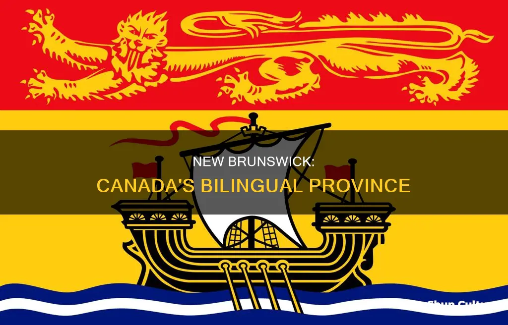 is new brunswick canada eniglish speaking