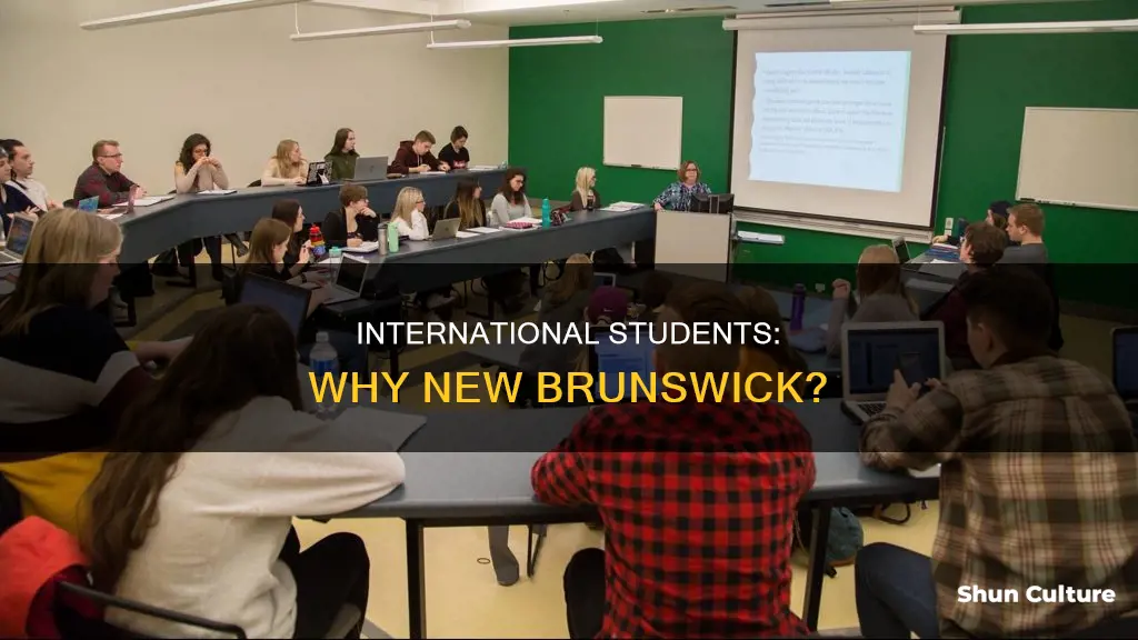 is new brunswick good for international students