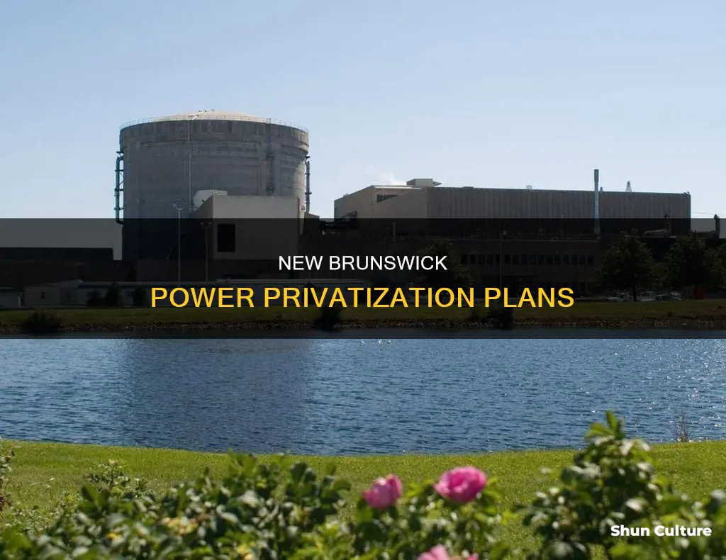 is new brunswick power privatized