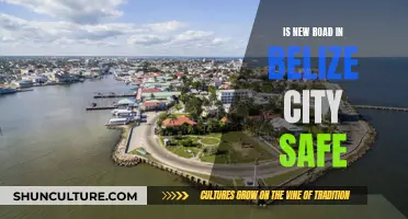 Belize City's New Road: Safe Passage or Safety Concern?