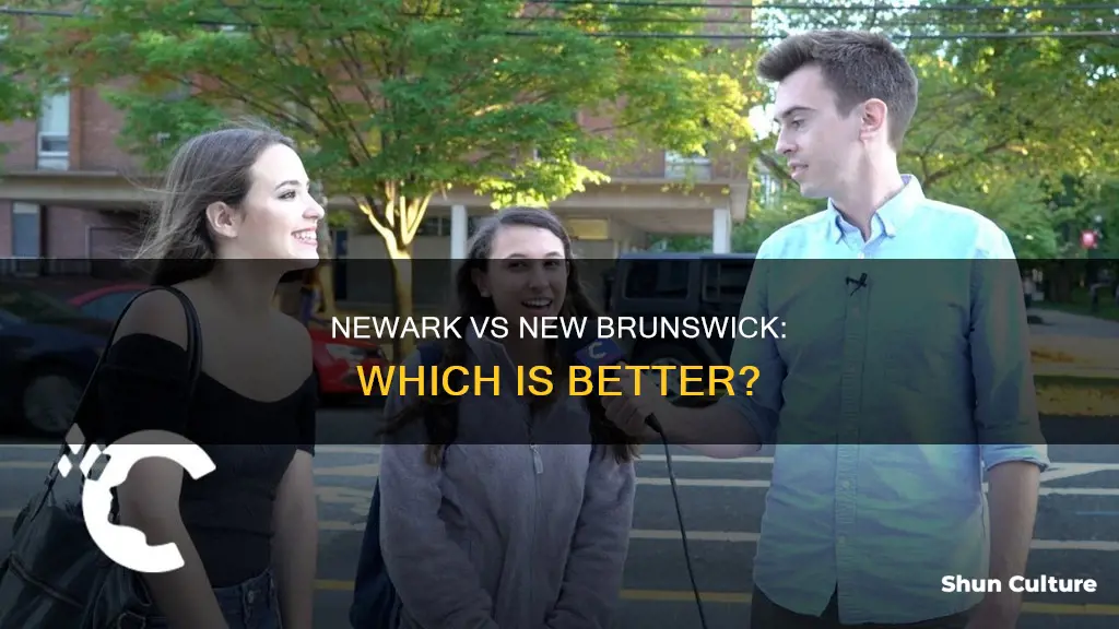 is newark or new brunswick nicer