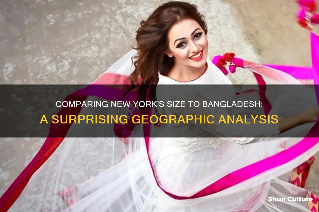 is newyork as big as bangladesh