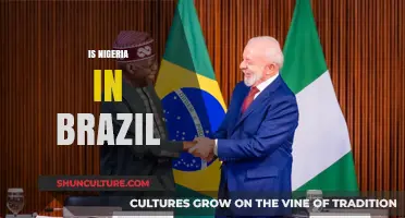 Exploring the Myth: Is Nigeria Located Within Brazil's Borders?
