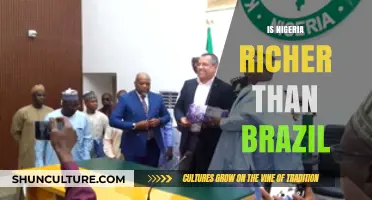 Nigeria vs. Brazil: Which Economy Holds Greater Wealth and Potential?