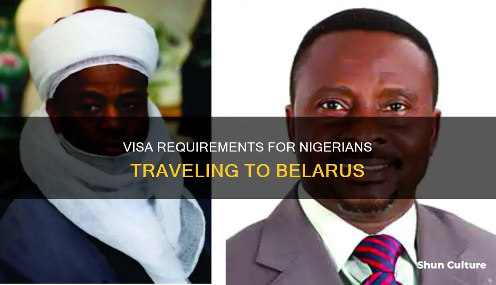 is nigeria visa free to belarus