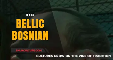 Is Niko Bellic Bosnian? Exploring the Origins of GTA's Iconic Protagonist