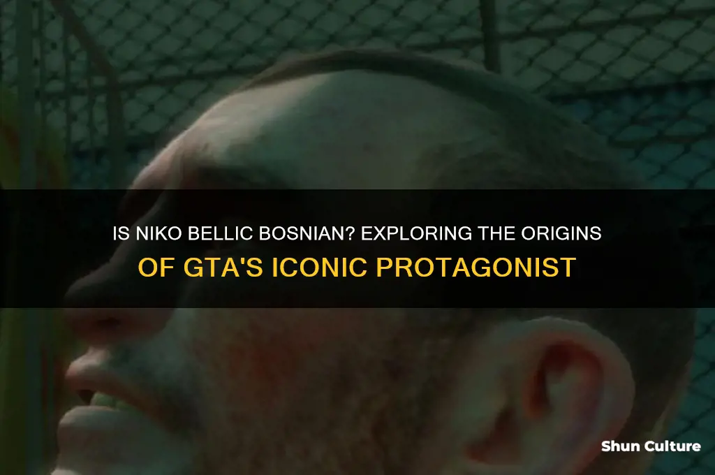 is niko bellic bosnian