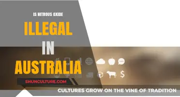 Nitrous Oxide: Australia's Legal Highs and Lows