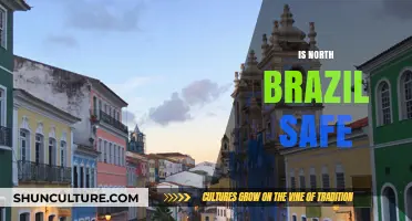 Exploring Safety in North Brazil: Tips for Travelers and Locals