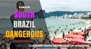 North vs. South Brazil: Unveiling Safety Concerns and Travel Risks