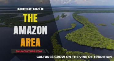 Is Northeast Brazil Part of the Amazon Rainforest Region?