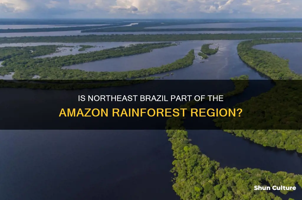 is northeast brazil in the amazon area