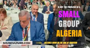 Algeria's Progress: Beyond Elite Circles, Towards Inclusive National Development