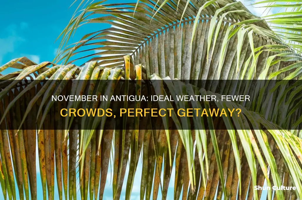 is november a good time to visit antigua