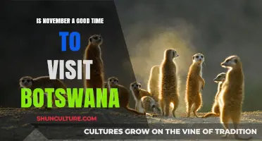Exploring Botswana in November: Ideal Weather and Wildlife Adventures Await