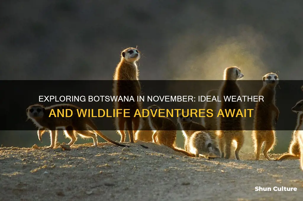 is november a good time to visit botswana