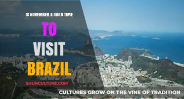 Exploring Brazil in November: Ideal Weather and Festive Vibes Await