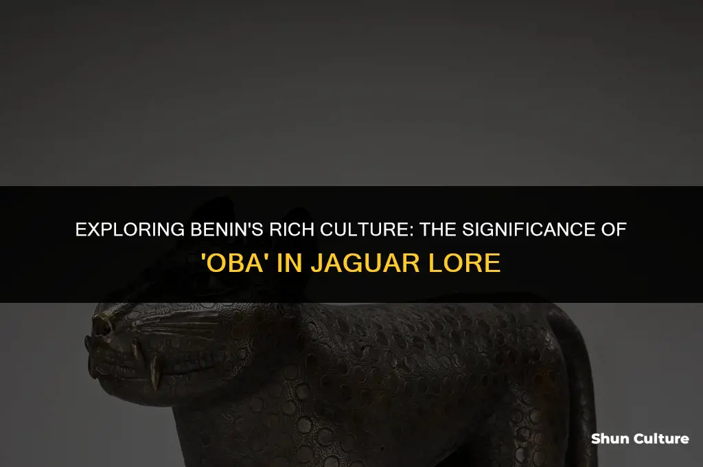 is oba the name for a jaguar in benin cuture