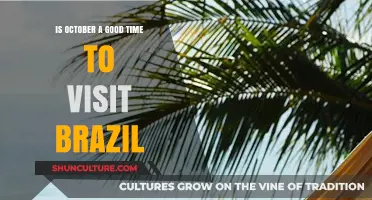 October in Brazil: Ideal Weather, Festivals, and Travel Tips