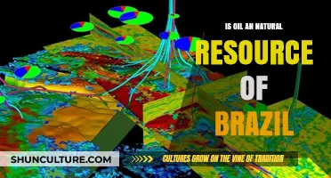 Brazil's Oil Reserves: A Natural Resource or Imported Commodity?