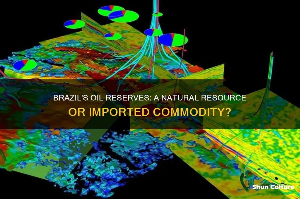 is oil an natural resource of brazil