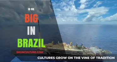 Brazil's Oil Industry: A Major Player in Global Energy Markets?