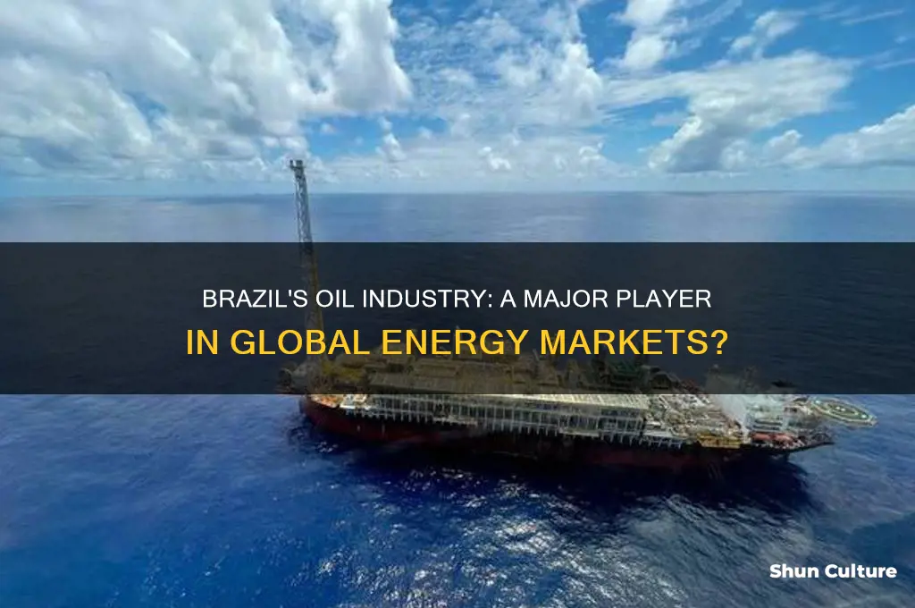 is oil big in brazil
