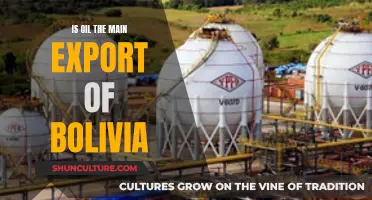 Bolivia's Oil Exports: A Country's Main Economic Lifeline?