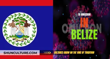 Omicron's Impact on Belize: A Country's Battle Against the Variant