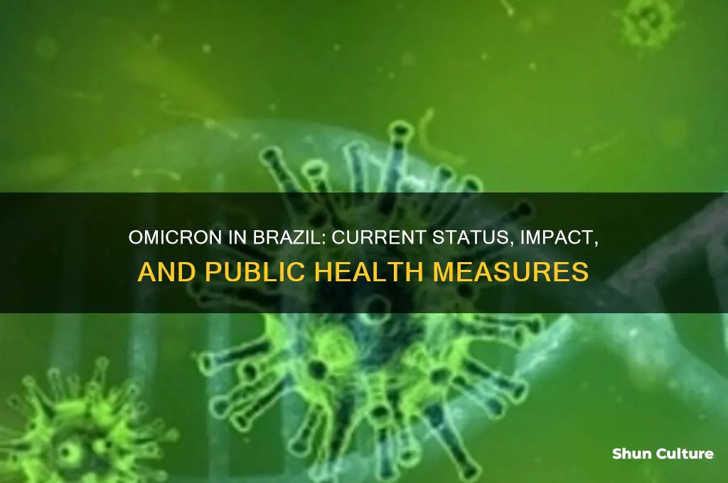 is omicron in brazil